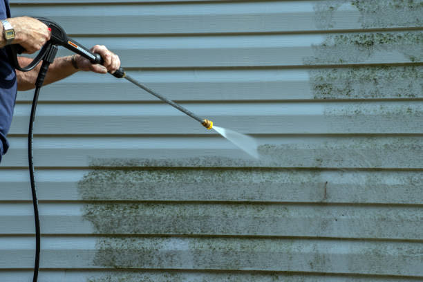 Best Patio and Deck Pressure Washing  in Bonham, TX